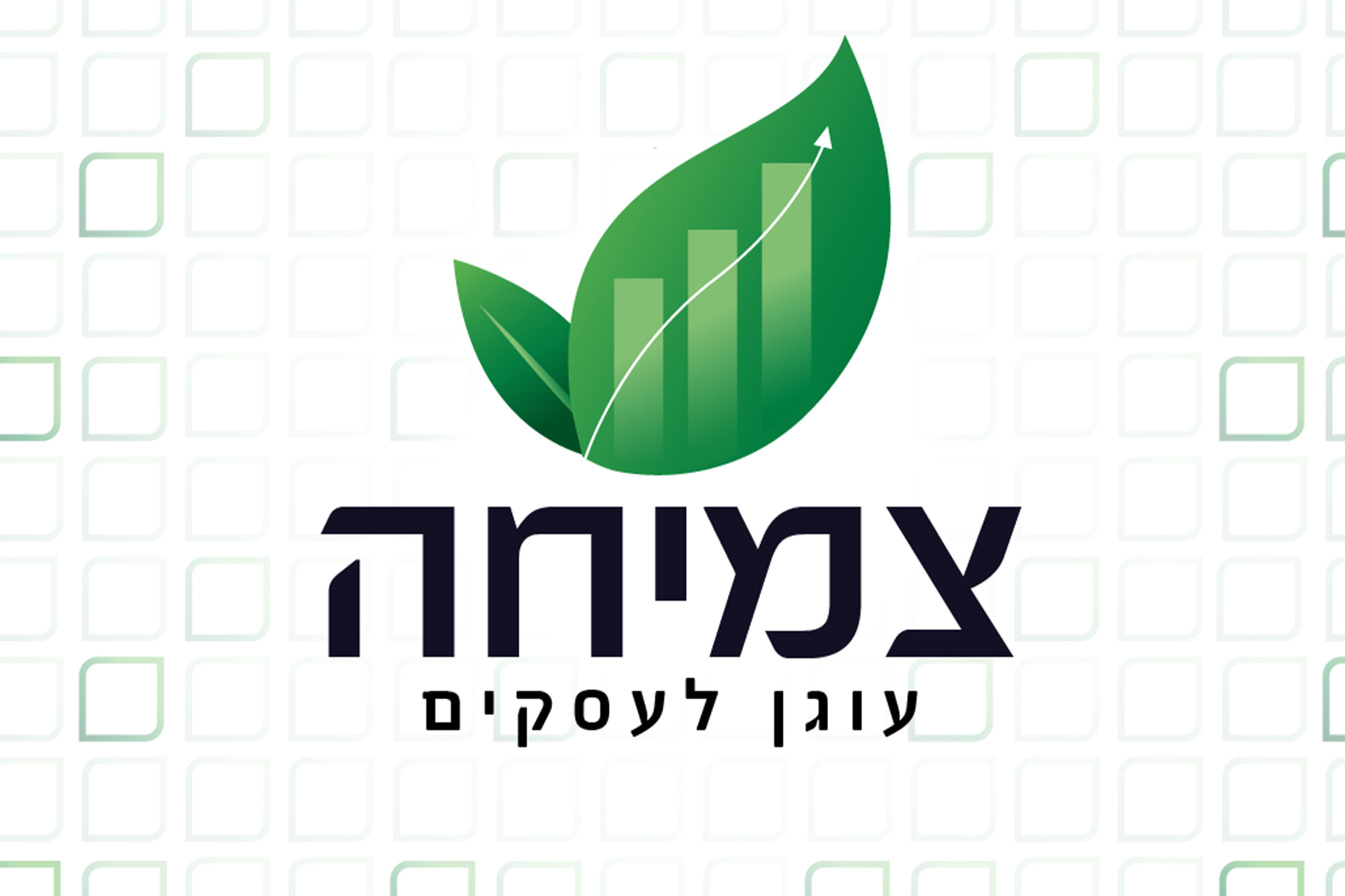 תמונת מגלרייה מספר 1