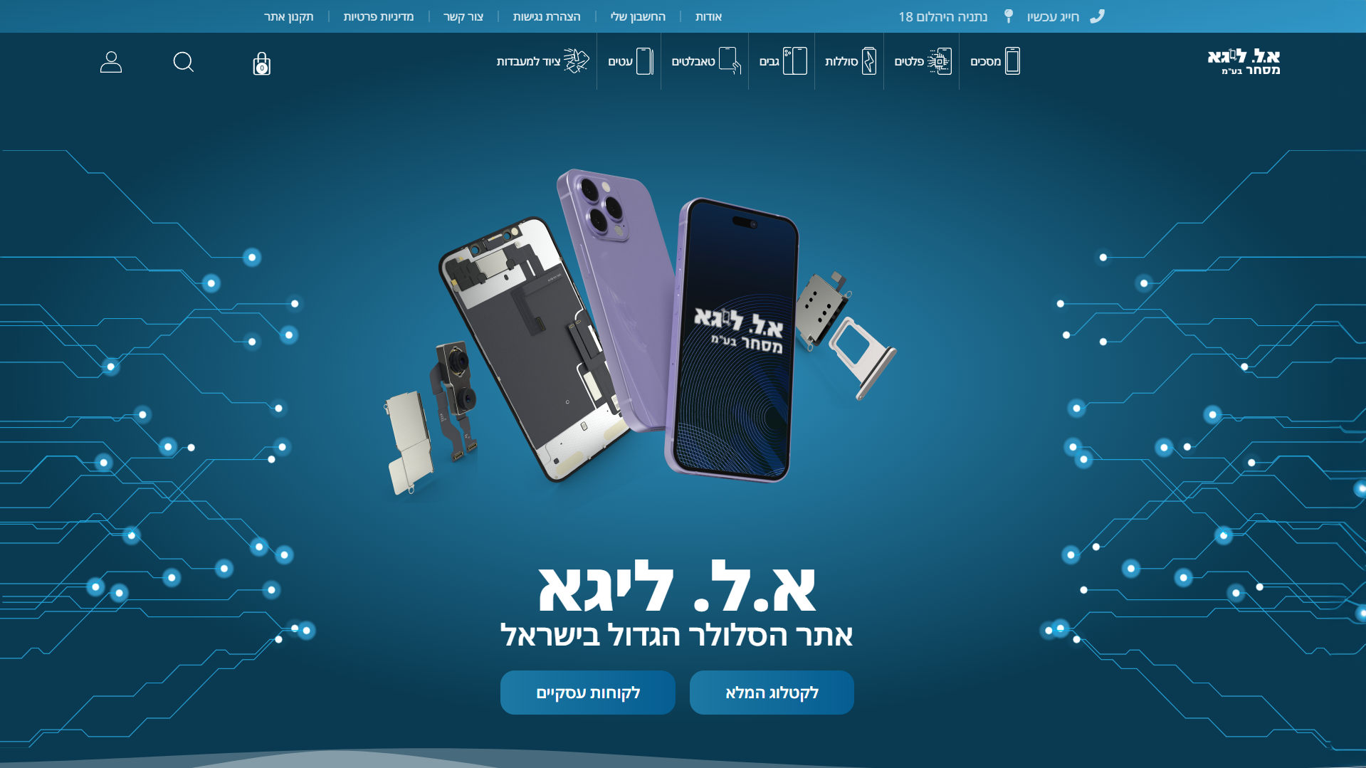 תמונת מגלרייה מספר 0