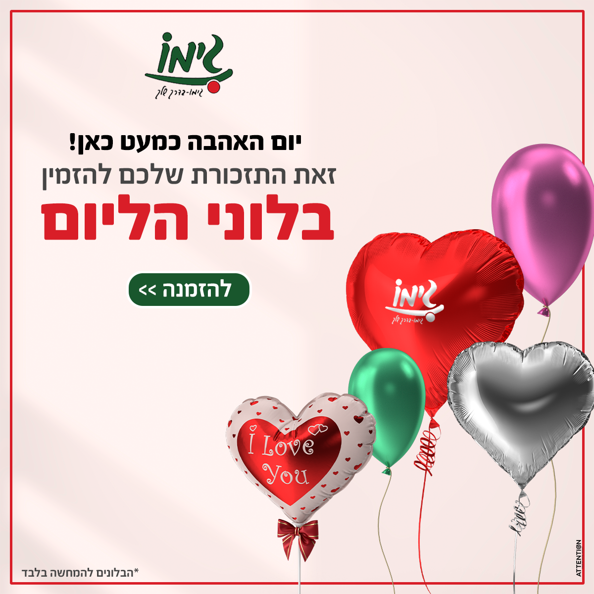 תמונת מגלרייה מספר 3