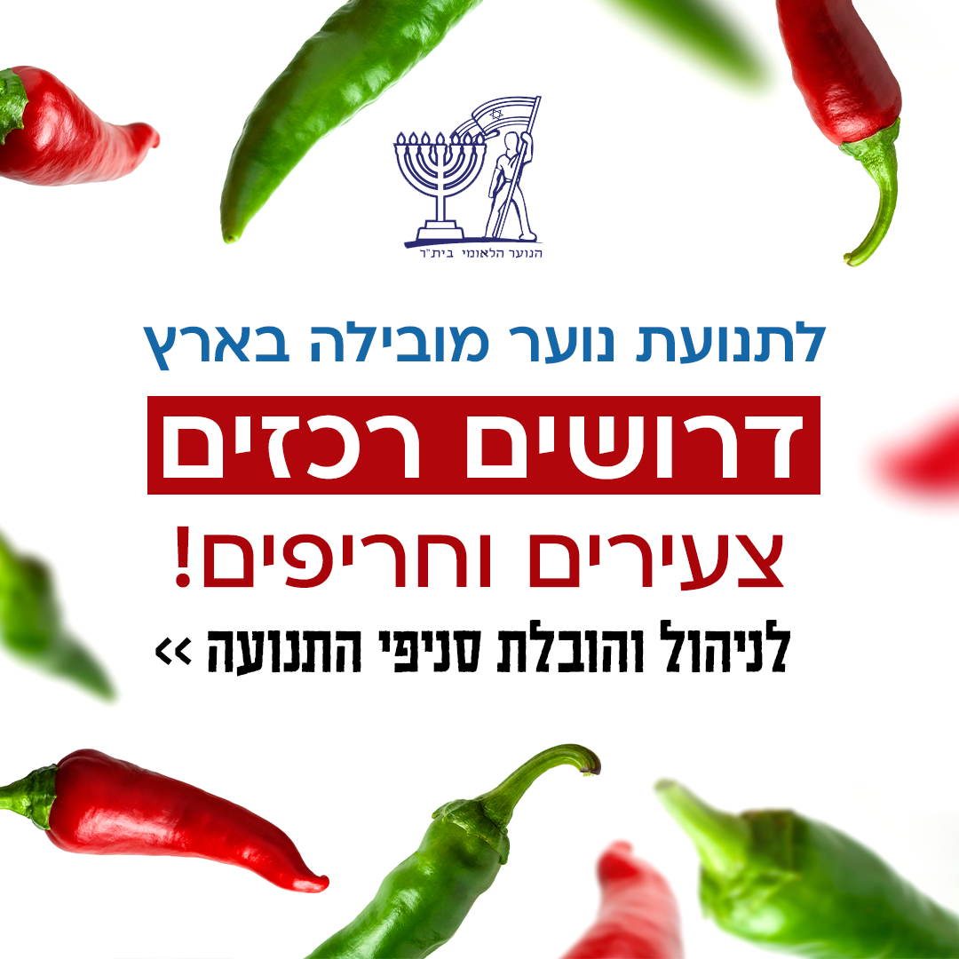 תמונת מגלרייה מספר 4